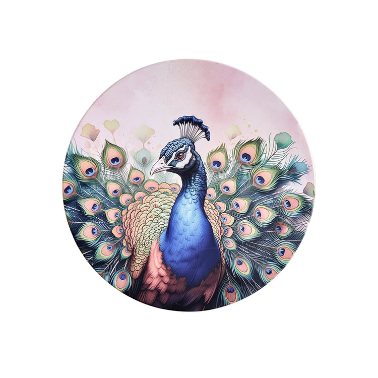 Brezza Peacock Set of 3 Canvas Printed Picture Frames
