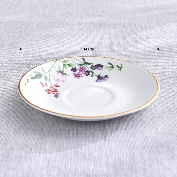 Lucas Carnation Bone China Printed Cup and Saucer - 210ml
