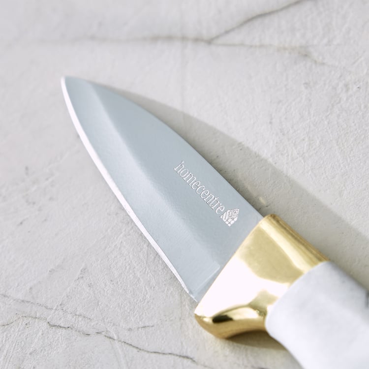 Slash Sage Stainless Steel Paring Knife