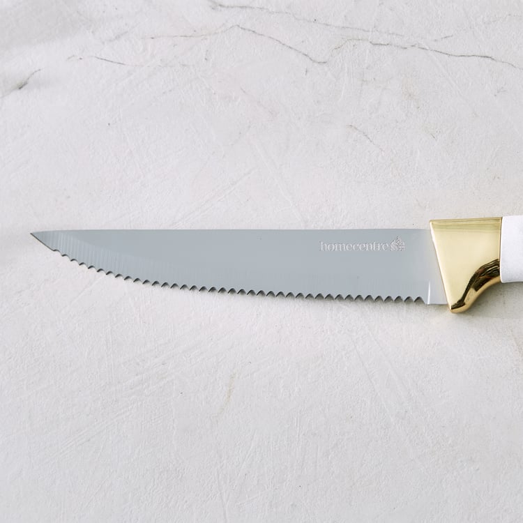 Slash Sage Stainless Steel Serrated Knife