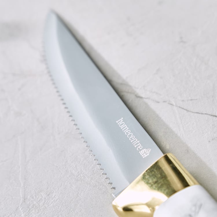 Slash Sage Stainless Steel Serrated Knife