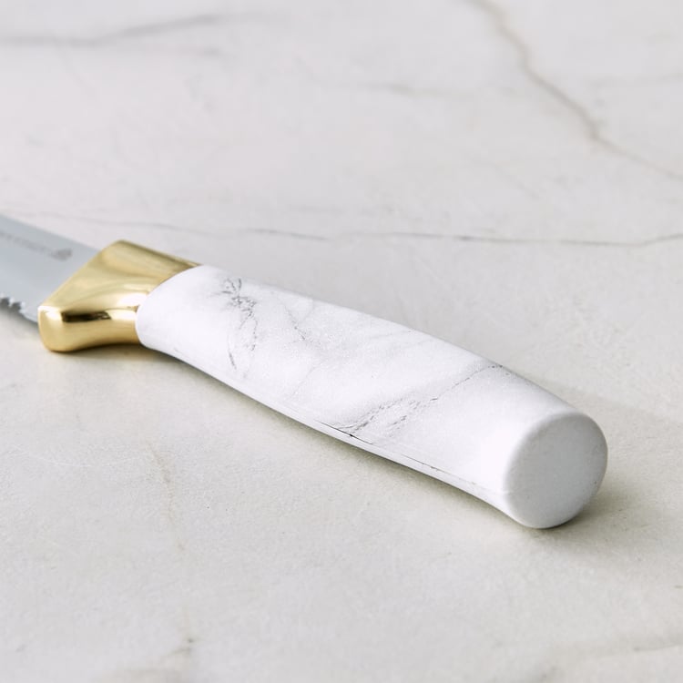 Slash Sage Stainless Steel Serrated Knife