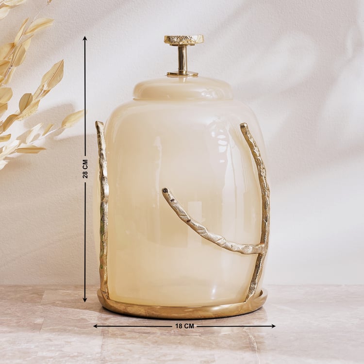 Eternity Vogue Gwen Glass Decorative Canister