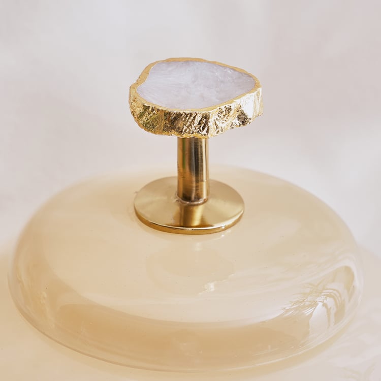 Eternity Vogue Gwen Glass Decorative Canister