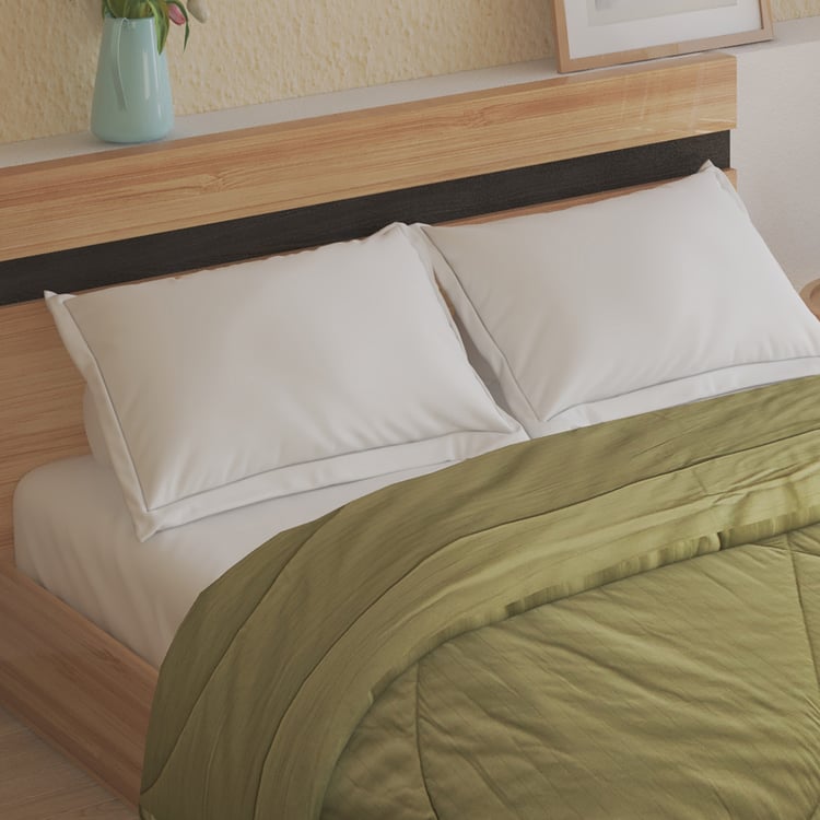 Campbell Cotton Striped Double Comforter