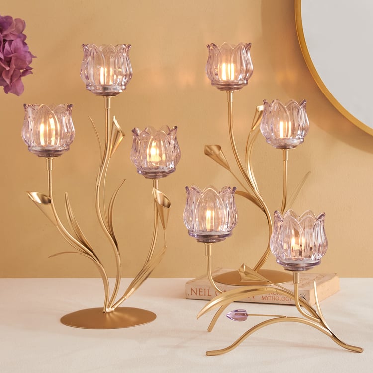 Fiora Delphi Glass Pedestal Tulip Multi T-Light Holders