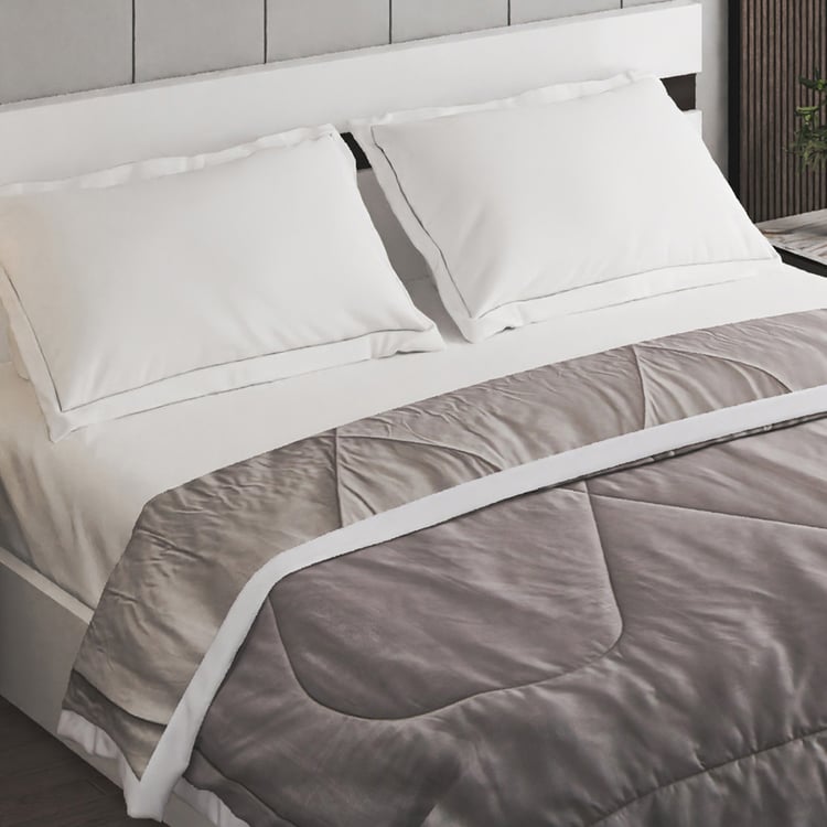 Color Bliss Cotton Double Comforter