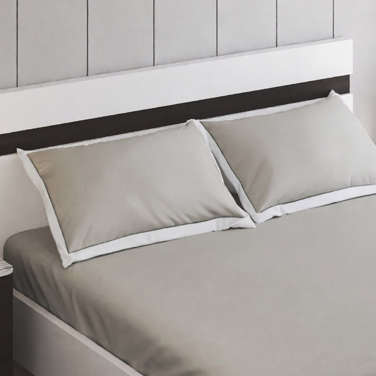 Color Bliss Cotton 200TC 3Pcs King Fitted Bedsheet Set