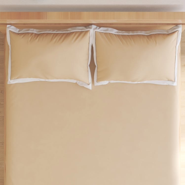 Color Bliss Cotton 200TC 3Pcs Super King Bedsheet Set