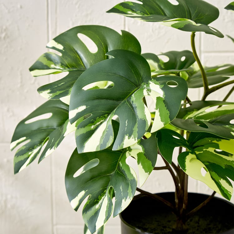 Gloria Terra Artificial Mini Monstera Plant in Pot