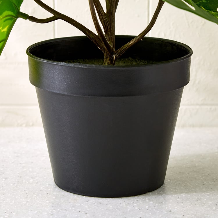 Gloria Terra Artificial Mini Monstera Plant in Pot