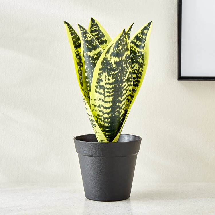 Gloria Terra Artificial Sansevieria Plant in Cement Pot