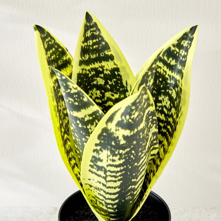 Gloria Terra Artificial Sansevieria Plant in Cement Pot