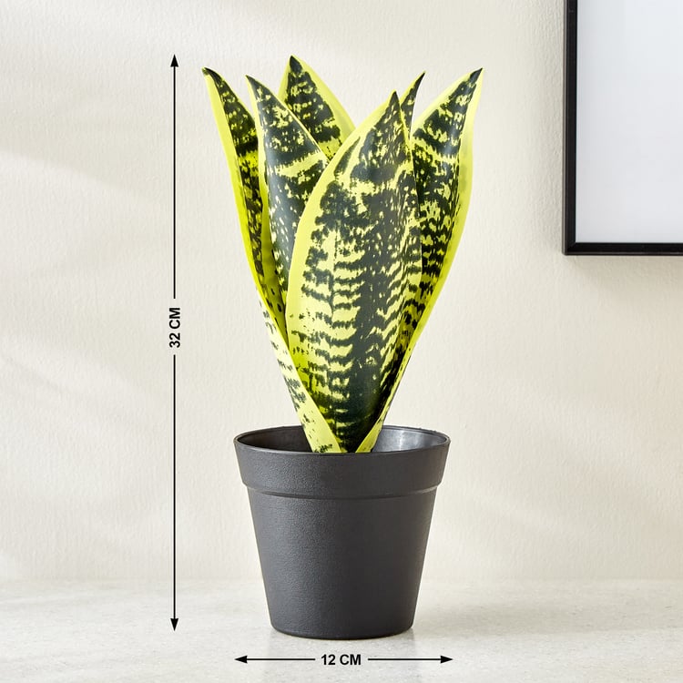 Gloria Terra Artificial Sansevieria Plant in Cement Pot