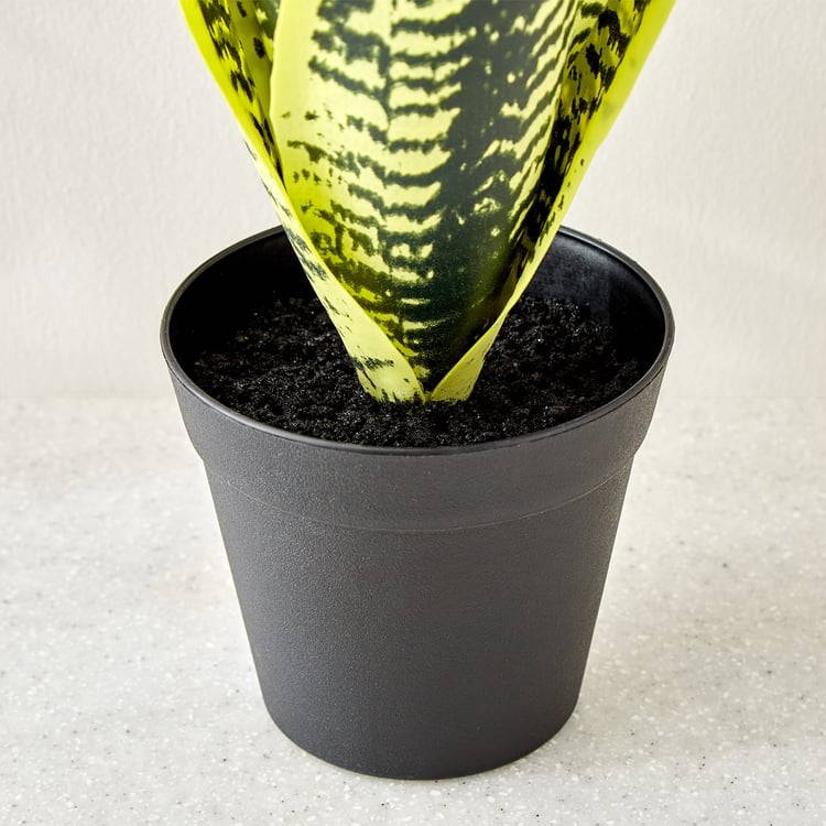Gloria Terra Artificial Sansevieria Plant in Cement Pot