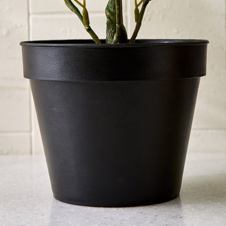 Gloria Terra Artificial Fittonia Zebrano in Pot