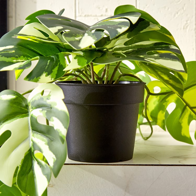 Gloria Vine Artificial Monstera Variegata in Pot