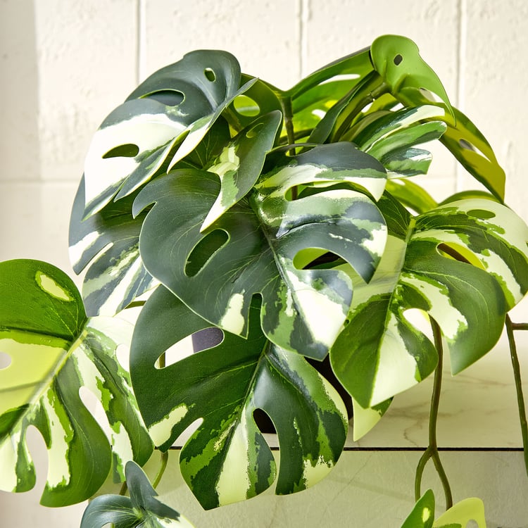 Gloria Vine Artificial Monstera Variegata in Pot