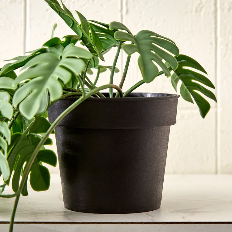 Gloria Vine Artificial Hanging Monstera in Pot