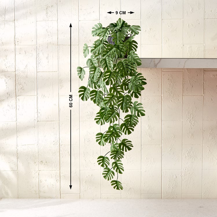 Gloria Vine Artificial Hanging Monstera in Pot