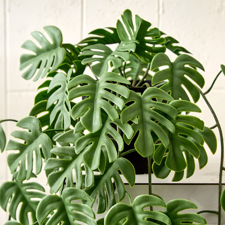 Gloria Vine Artificial Hanging Monstera in Pot