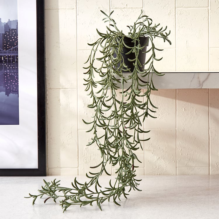 Gloria Vine Artificial Fishhooks Succulent in Pot