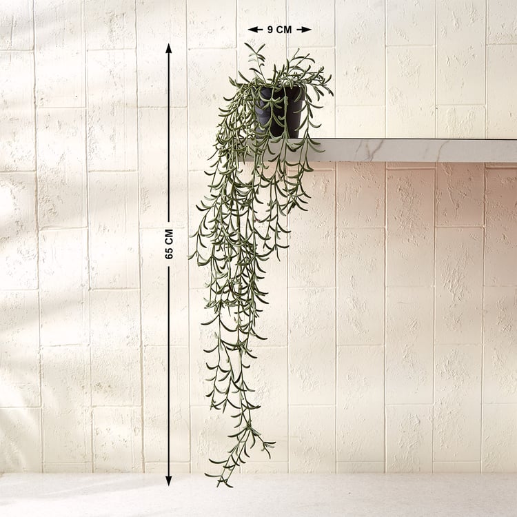 Gloria Vine Artificial Fishhooks Succulent in Pot