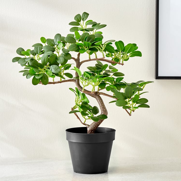 Gloria Zen Artificial Wepping Ficus Plant in Pot