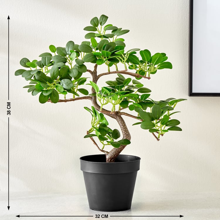 Gloria Zen Artificial Wepping Ficus Plant in Pot