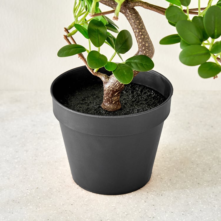 Gloria Zen Artificial Wepping Ficus Plant in Pot