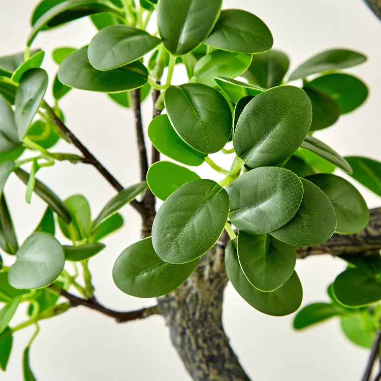 Gloria Zen Artificial Jazeera Ficus Plant in Cement Pot