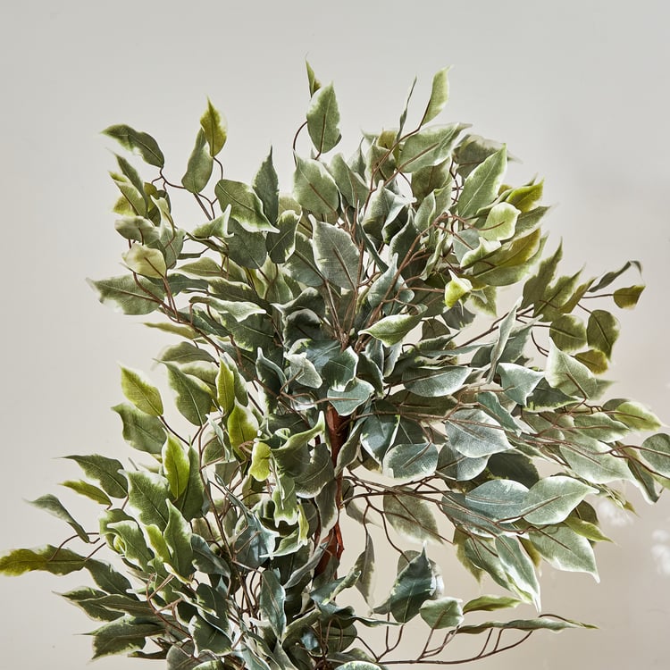 Gardenia Ficus Artificial Variegate Plant in Pot