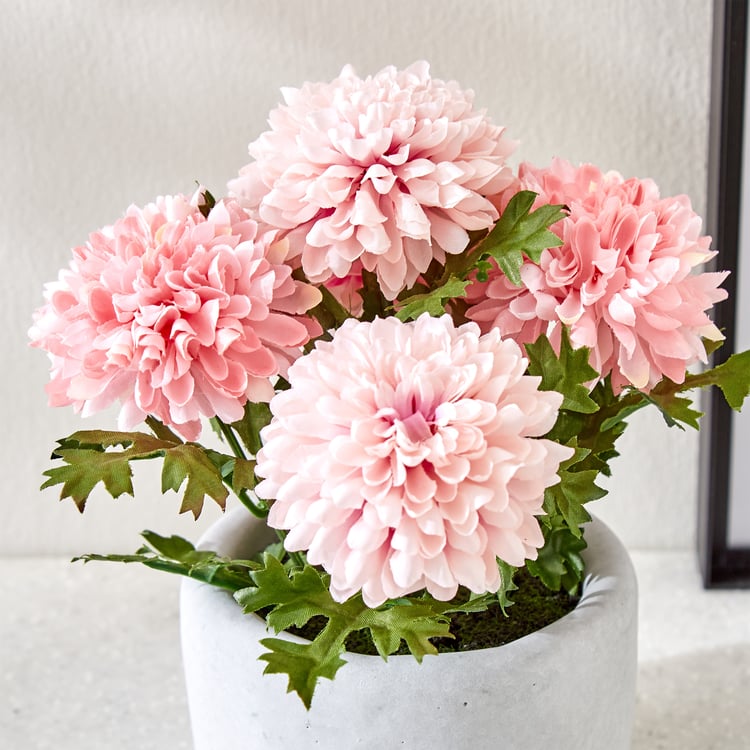 Gloria Bud Artificial Chrysanthemum Flowers in Cement Pot