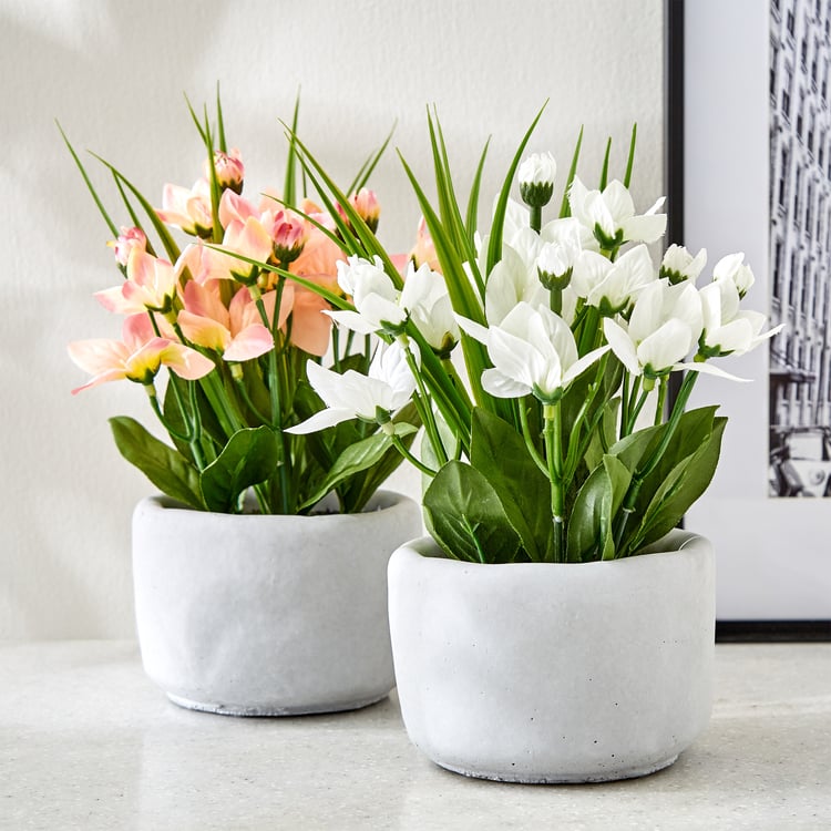 Gloria Bud Artificial Platycodon Flowers in Cement Pot