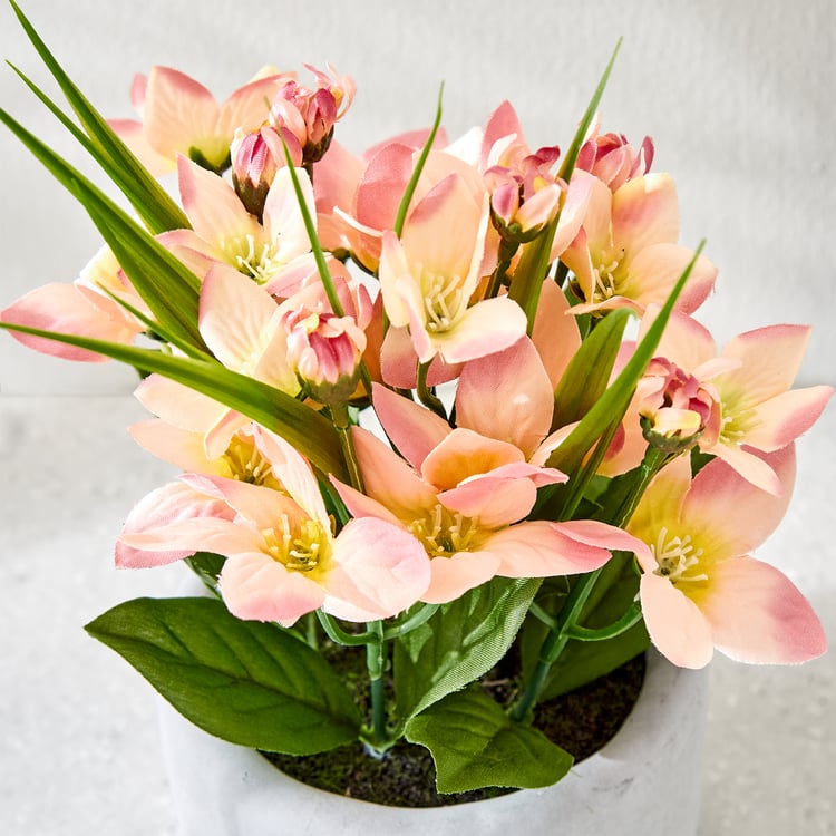 Gloria Bud Artificial Platycodon Flowers in Cement Pot