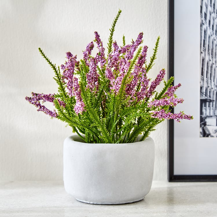 Gloria Bud Pine Needle Flowers in Cement Pot