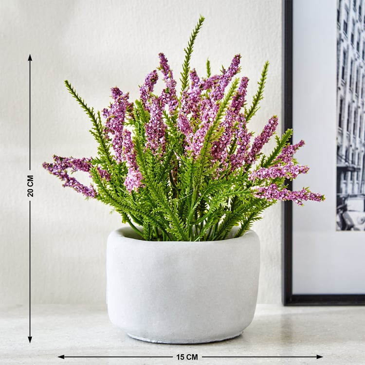 Gloria Bud Pine Needle Flowers in Cement Pot