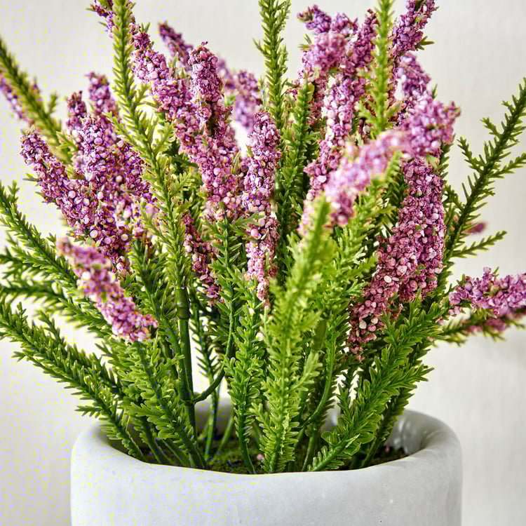 Gloria Bud Pine Needle Flowers in Cement Pot