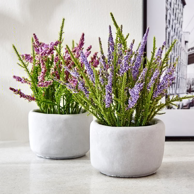 Gloria Bud Pine Needle Flowers in Cement Pot
