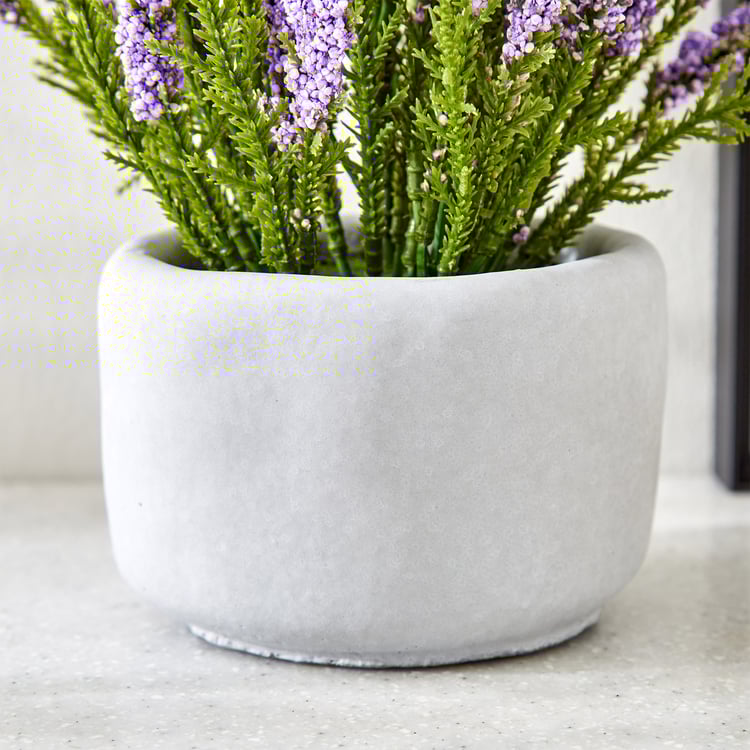 Gloria Bud Pine Needle Flowers in Cement Pot
