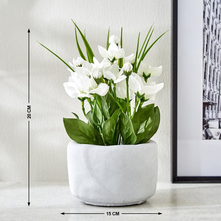 Gloria Bud Artificial Platycodon Flowers in Cement Pot
