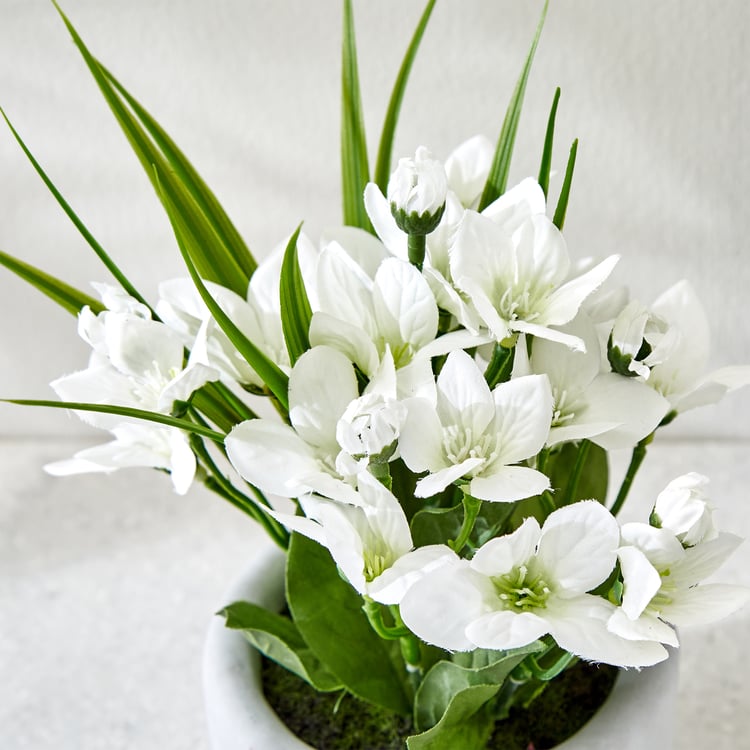 Gloria Bud Artificial Platycodon Flowers in Cement Pot
