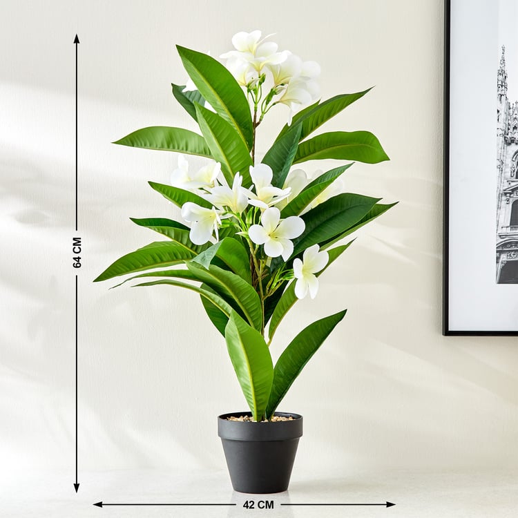 Gardenia Plumeria Artificial Magnolia Flowers in Pot