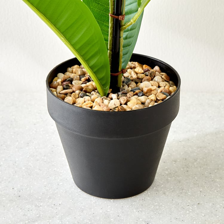 Gardenia Plumeria Artificial Magnolia Flowers in Pot