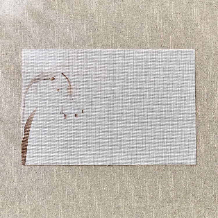 Mandrin Opulence PVC Printed Placemat