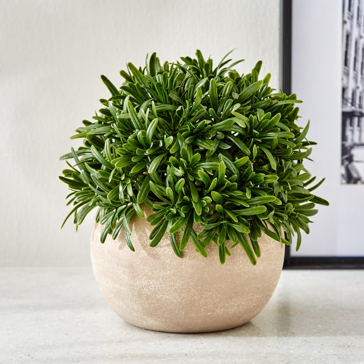 Gloria Bond Artificial Rosemary Plant in Paper Mache Pot