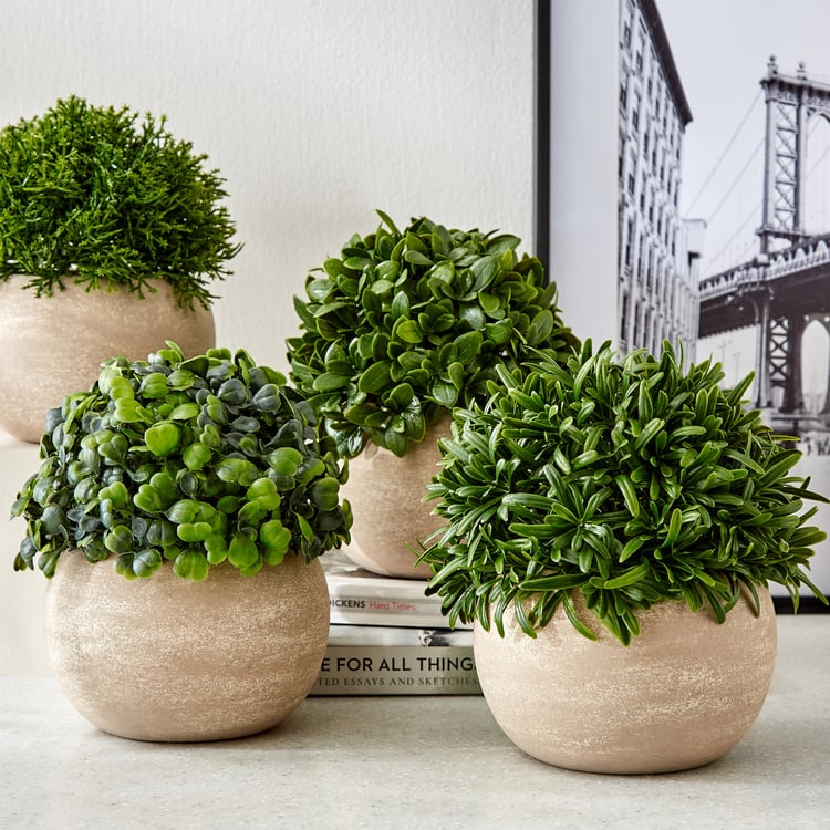 Gloria Bond Artificial Rosemary Plant in Paper Mache Pot
