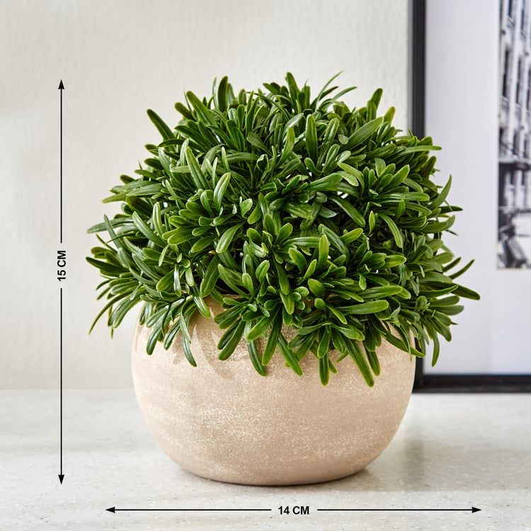 Gloria Bond Artificial Rosemary Plant in Paper Mache Pot