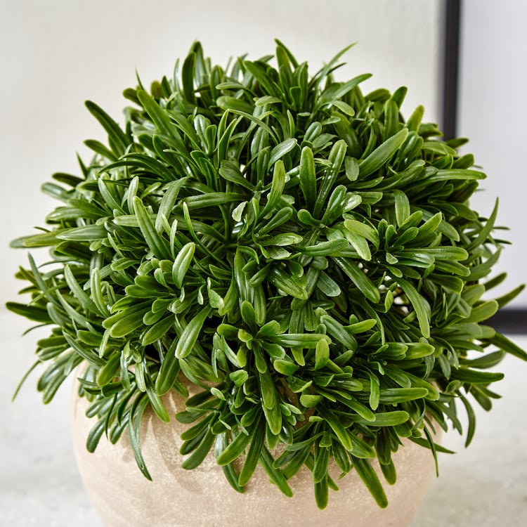 Gloria Bond Artificial Rosemary Plant in Paper Mache Pot