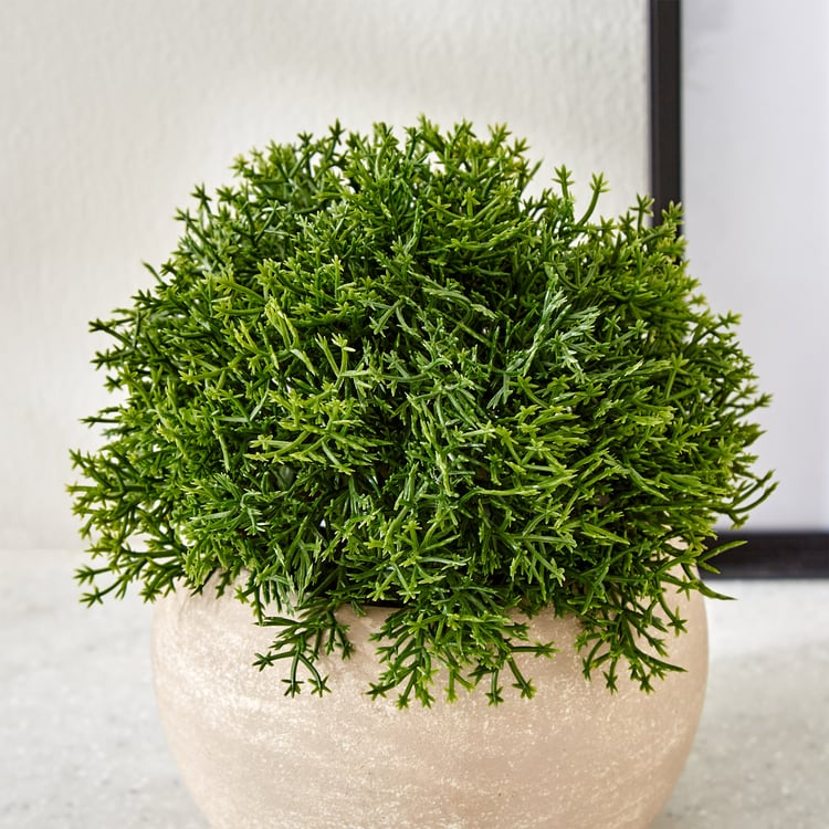 Gloria Bond Artificial Coral Cactus Plant in Paper Mache Pot